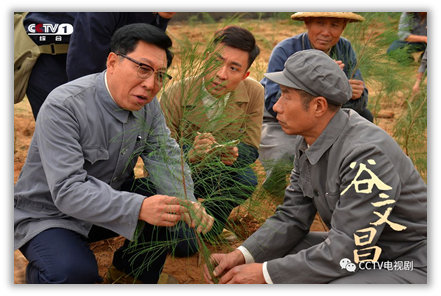 电视剧 《谷文昌》